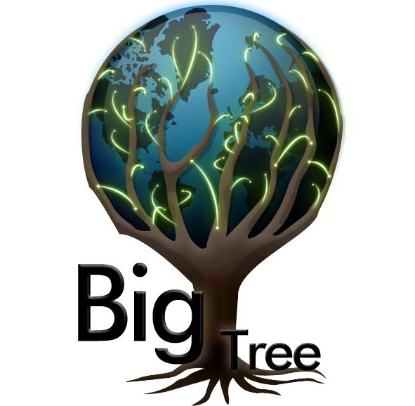 big-tree.cz